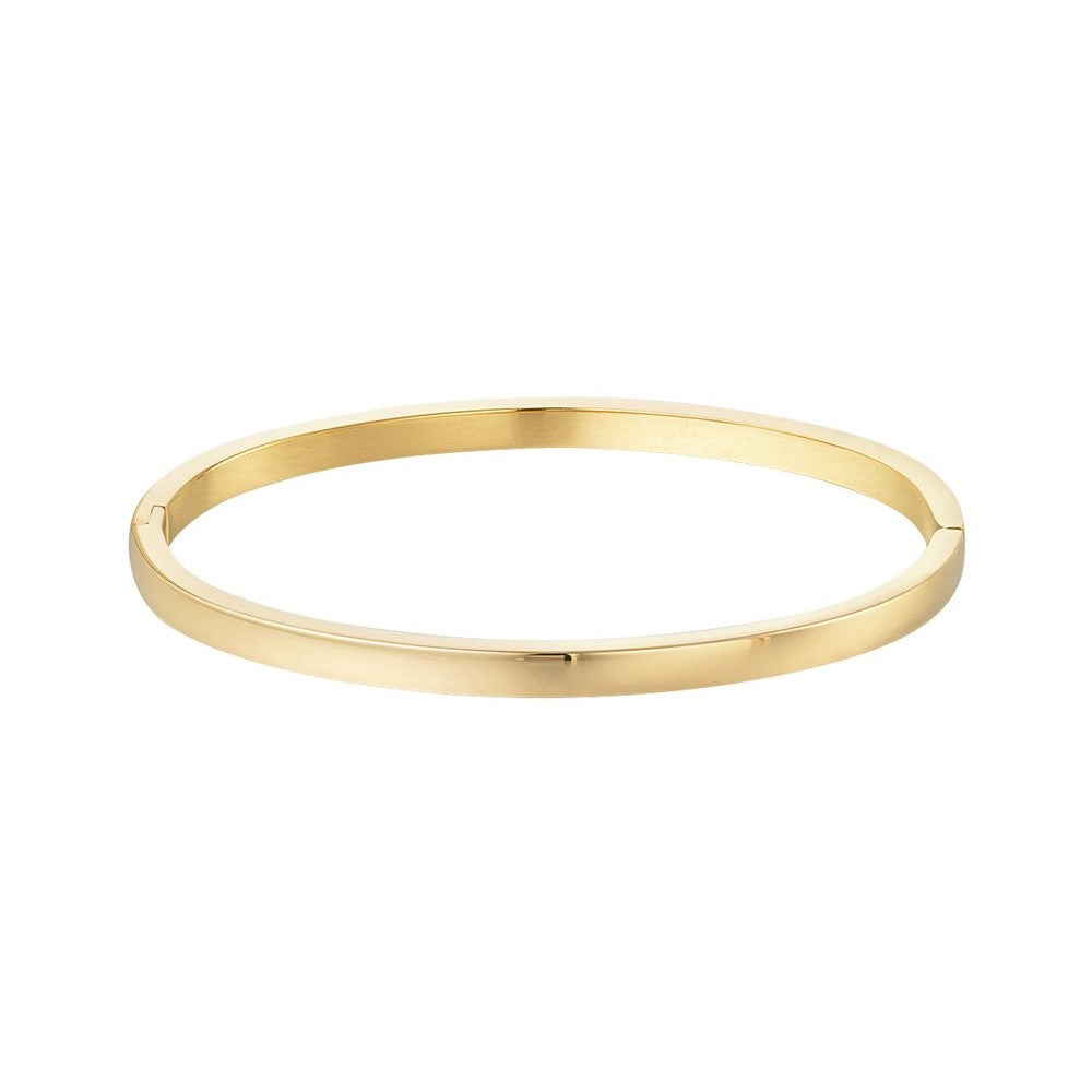 Armband bangle basic - Goud Armbanden
