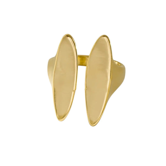 Double Plate Ring Goud ring