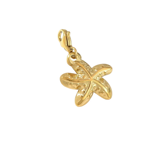 Bedel zeester - Goud bedel