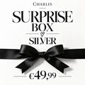 Charlis Surprise Box — Silver