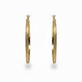 Oorbellen Printed Hoops Goud Oorbellen
