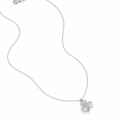 Ketting Lucky Charm Zilver Ketting