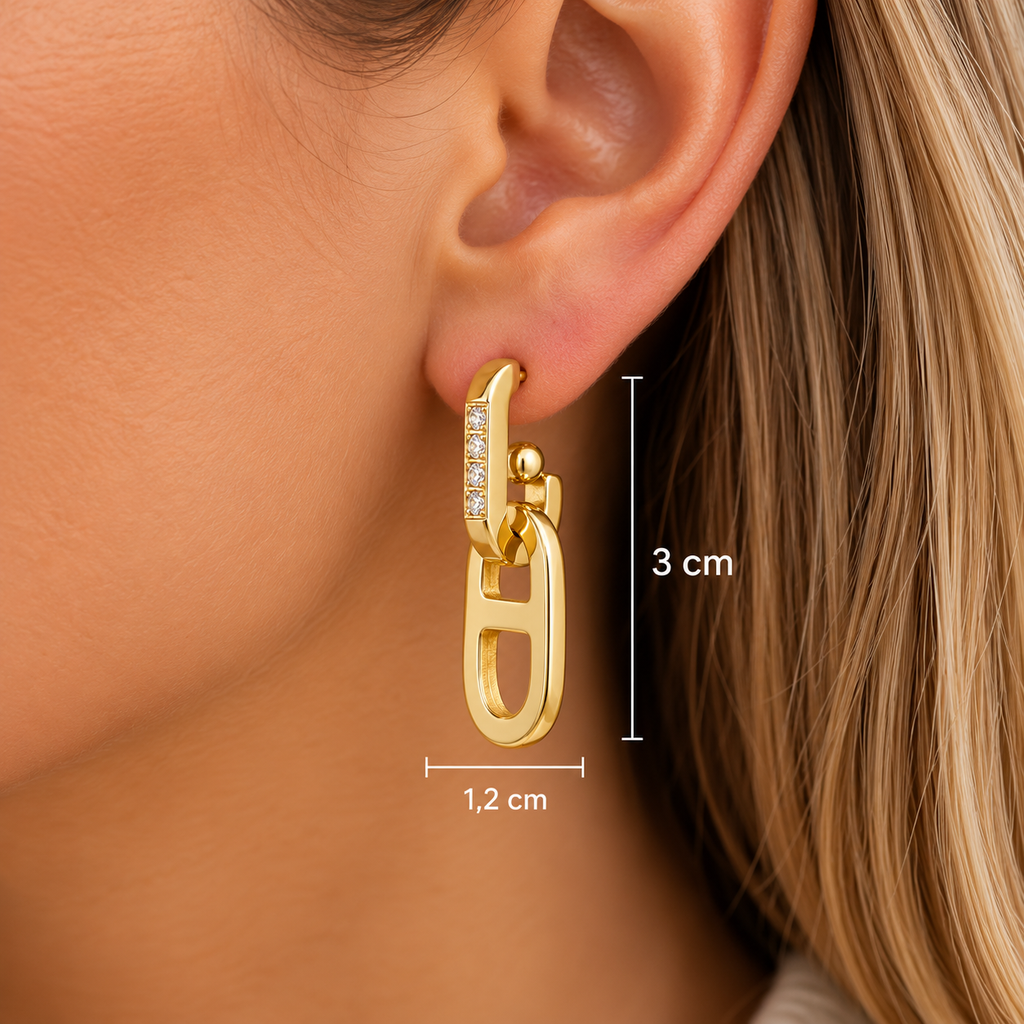 Oorbellen Golden Link – Goud Oorbellen
